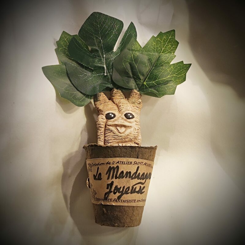 petit pot mandragore joyeuse