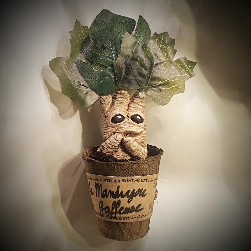 petit pot mandragore gaffeuse