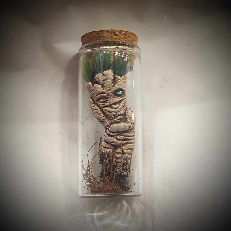 mini_fiole_mandragore_taquine