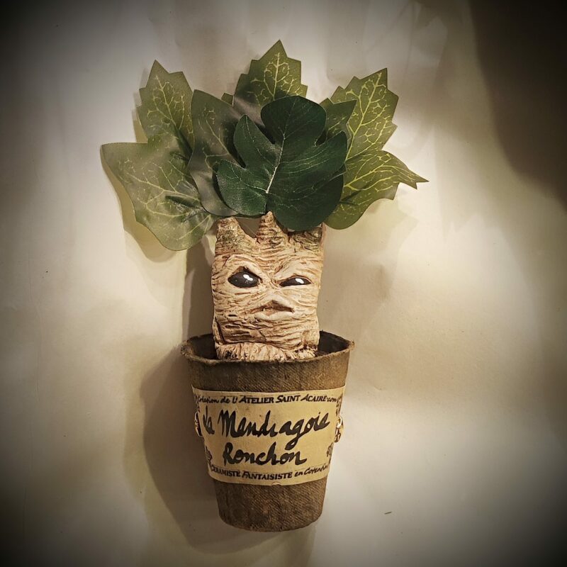 petit pot mandragore ronchon